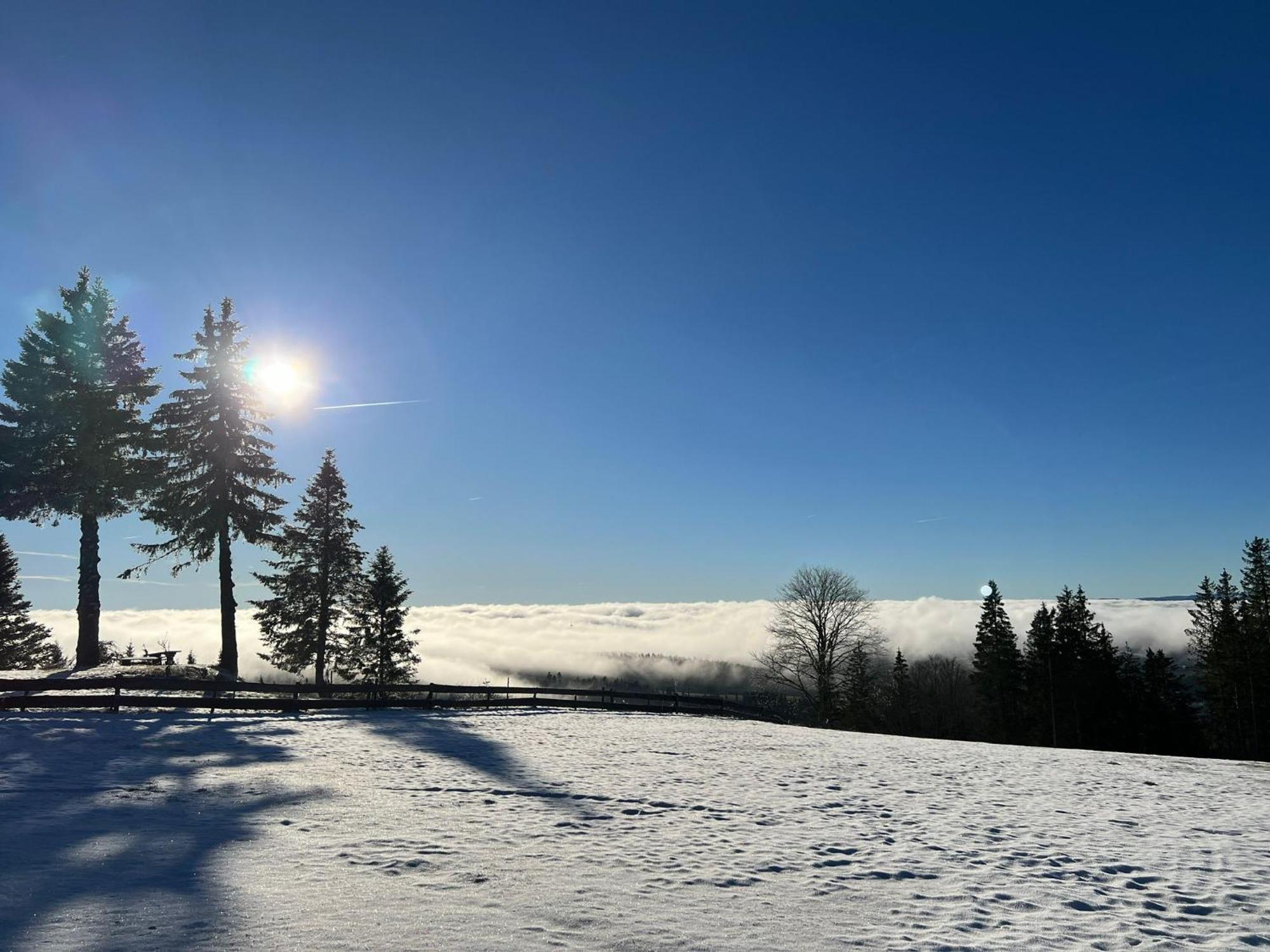 Naturfreundehaus Brend Furtwangen Luaran gambar