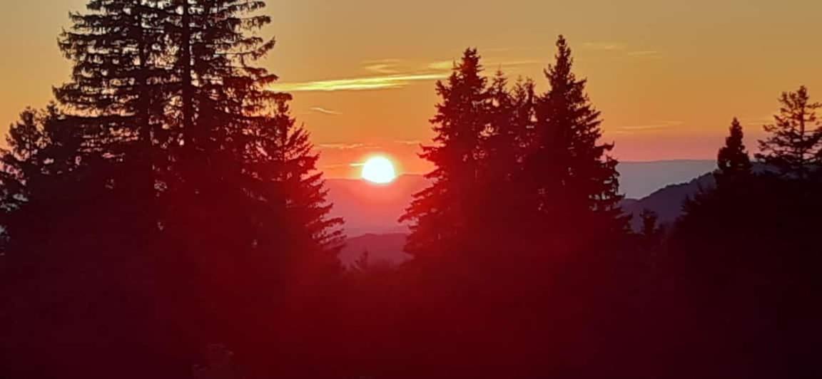 Naturfreundehaus Brend Furtwangen Luaran gambar